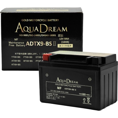 AQUADREAM GOLD oCNpobe[ t[d ADTX9-BS II 1yzsnFzy1641497zޗǌVs10000diƓd