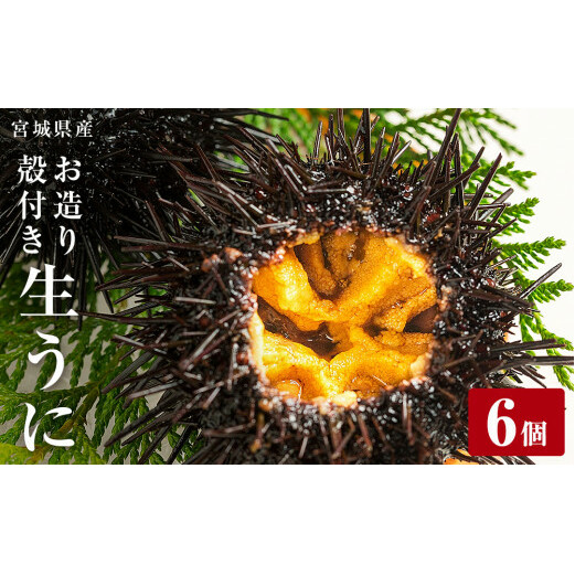 {錧Y 萶 6 Ej _O  Ej _O kt ktEj kt_O Ej Ej Ej Ej Ej Ej Ej Ej Ej Ej Ej Ej Ej Ej Ej Ej Ej Ej E