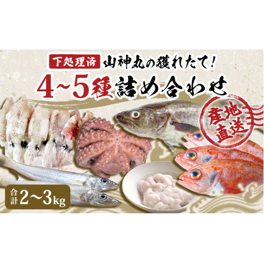 鮮魚 詰め合わせ 2〜3kg(4〜5種)下処理済み 漁師直送! 宮城県産 鮮魚 内臓処理済 お楽しみ 鮮魚ボックス 詰め合わせ 魚 食べ比べ お魚 とれたて 美味しい 新鮮 海鮮 魚介 刺身 焼き魚 煮付け