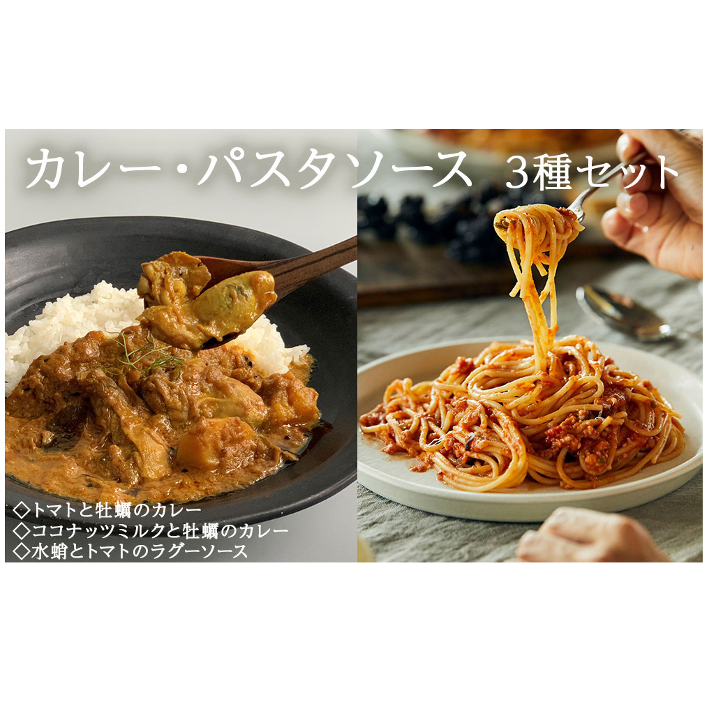 カレー パスタソース ギフトセット ココナッツミルクと牡蠣のカレー トマトと牡蠣のカレー 水蛸とトマトのラグーソース 無添加 レトルトカレー レトルト カレーライス パスタ スパイス 牡