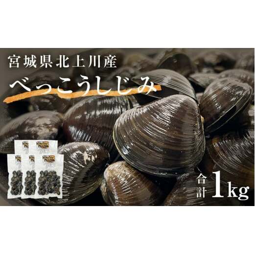 北上川のべっこうしじみ 1kg宮城県石巻市9000魚介・海産物貝類
