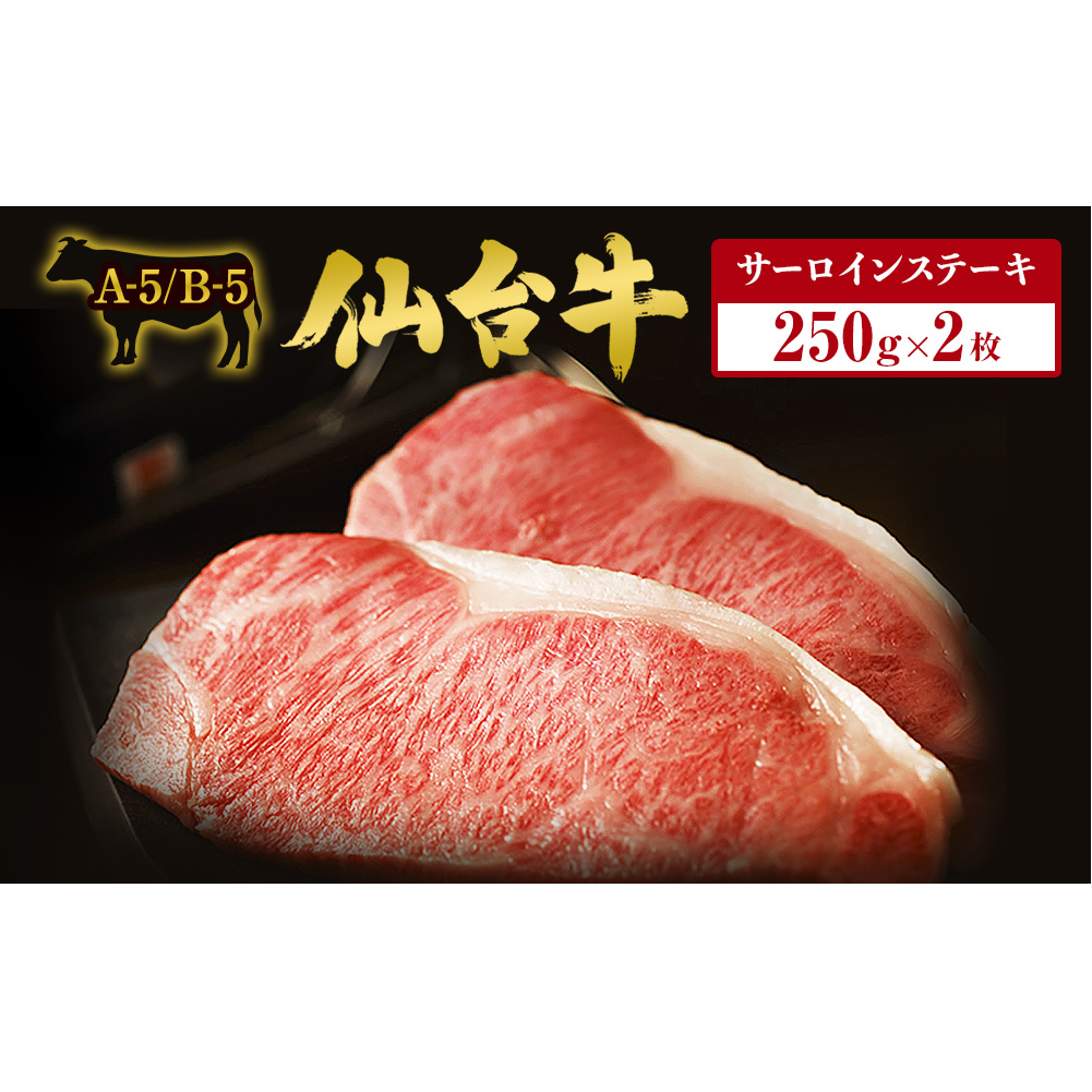 䋍T[CXe[L 2×250g{錧Ίs40000