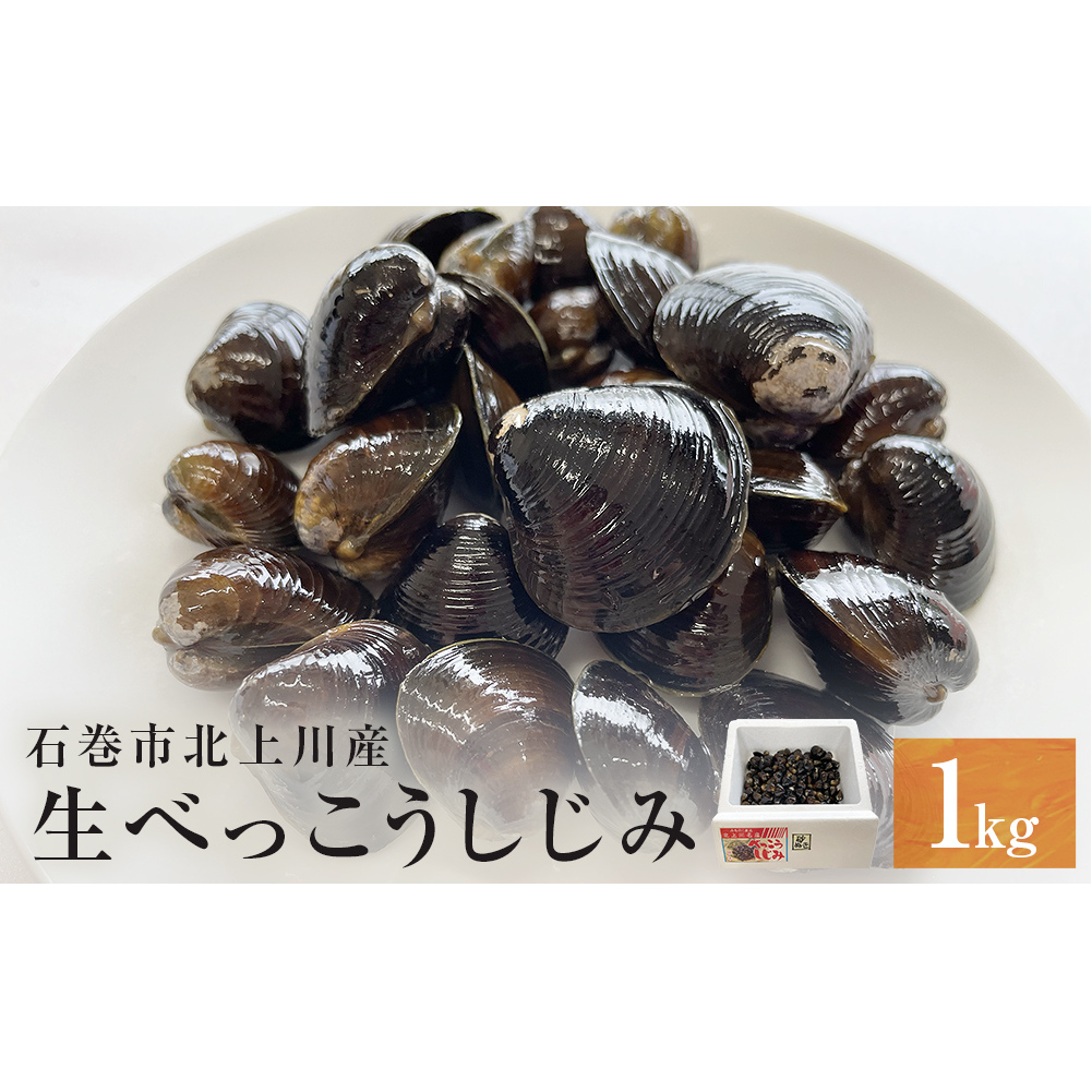 生べっこうしじみ宮城県石巻市9000魚介・海産物貝類