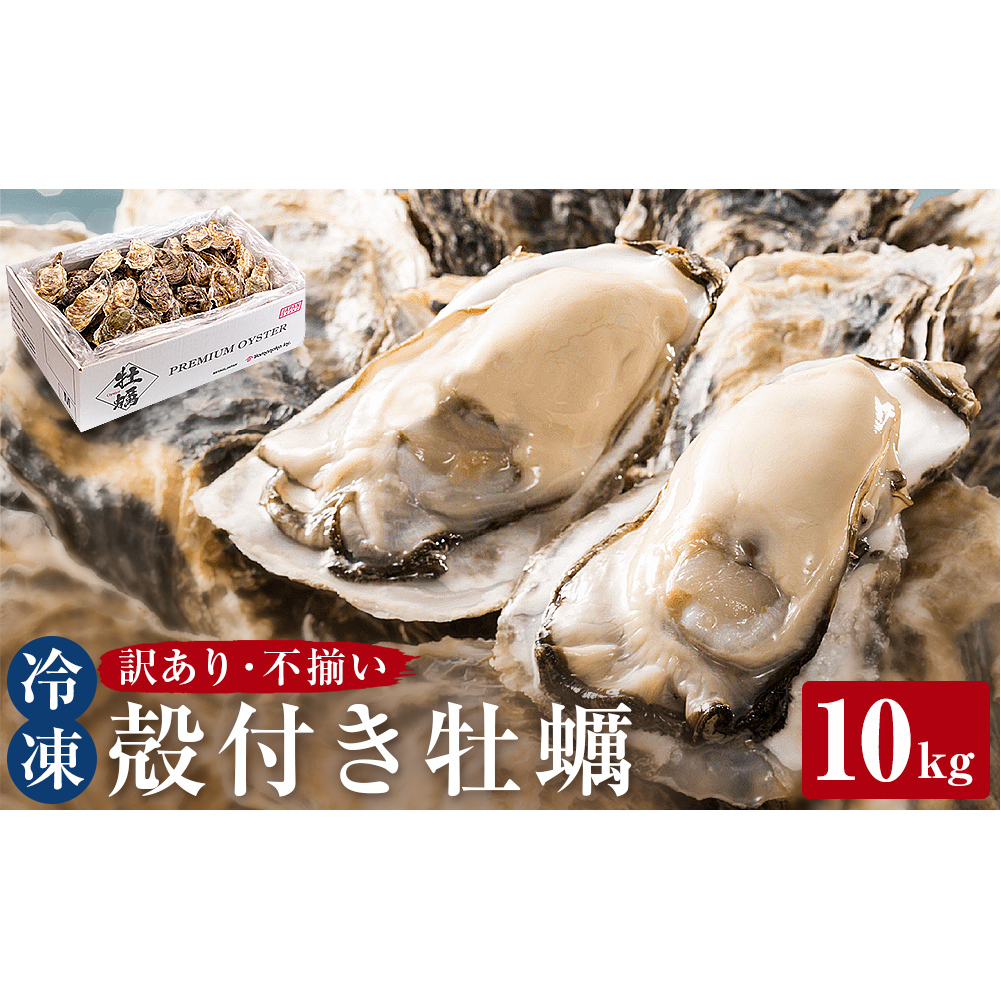 󂠂Es y Ⓚ kt y 10kg OY s JL  Mp JJĂ KKĂ y JL ^y BBQ lĂ o[xL[ VN CN  Y  O