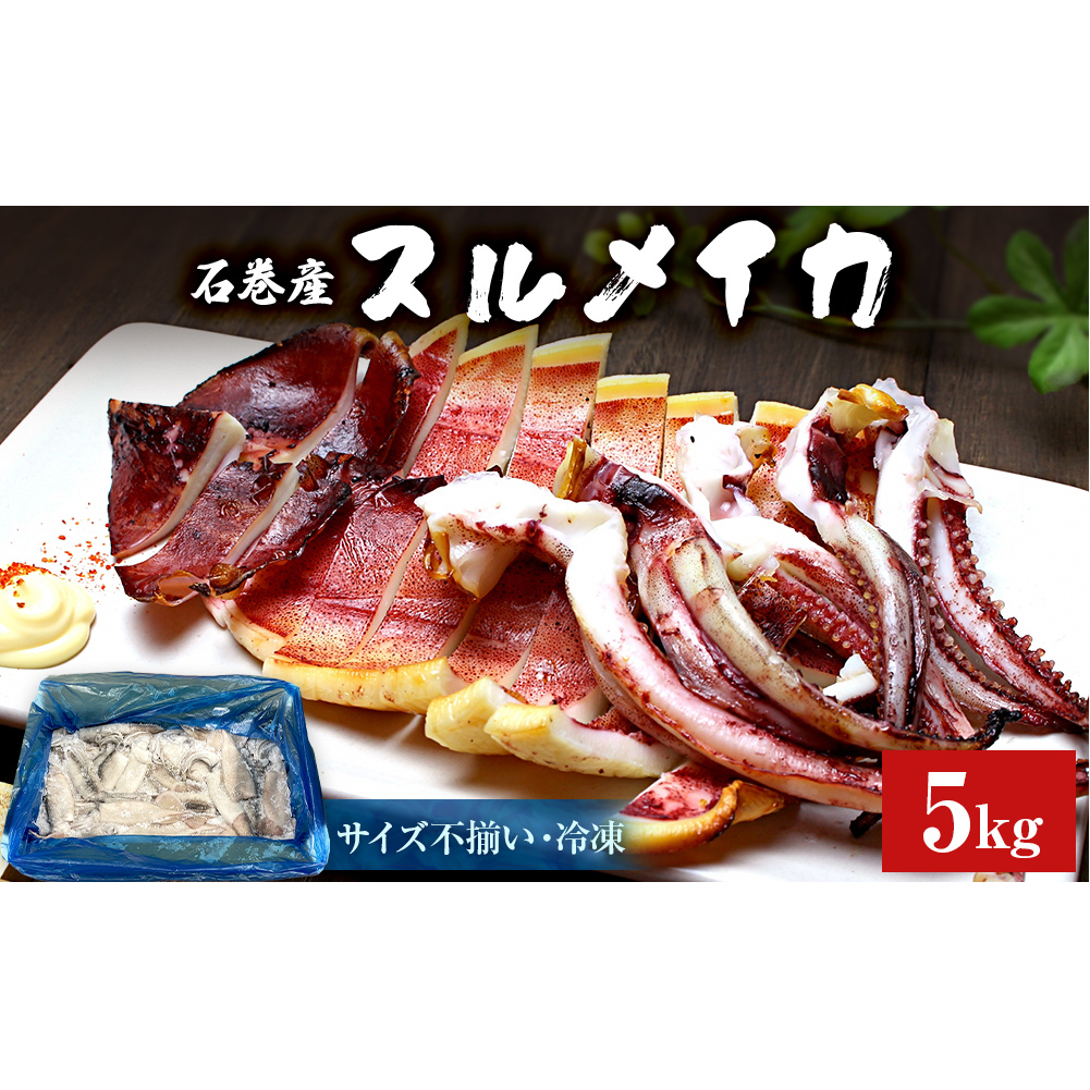 石巻市産スルメイカ5kg 冷凍 煮物 一夜干し いか おかず おつまみ マリネ 宮城県石巻市24000魚介・海産物イカ・タコ・ウニ
