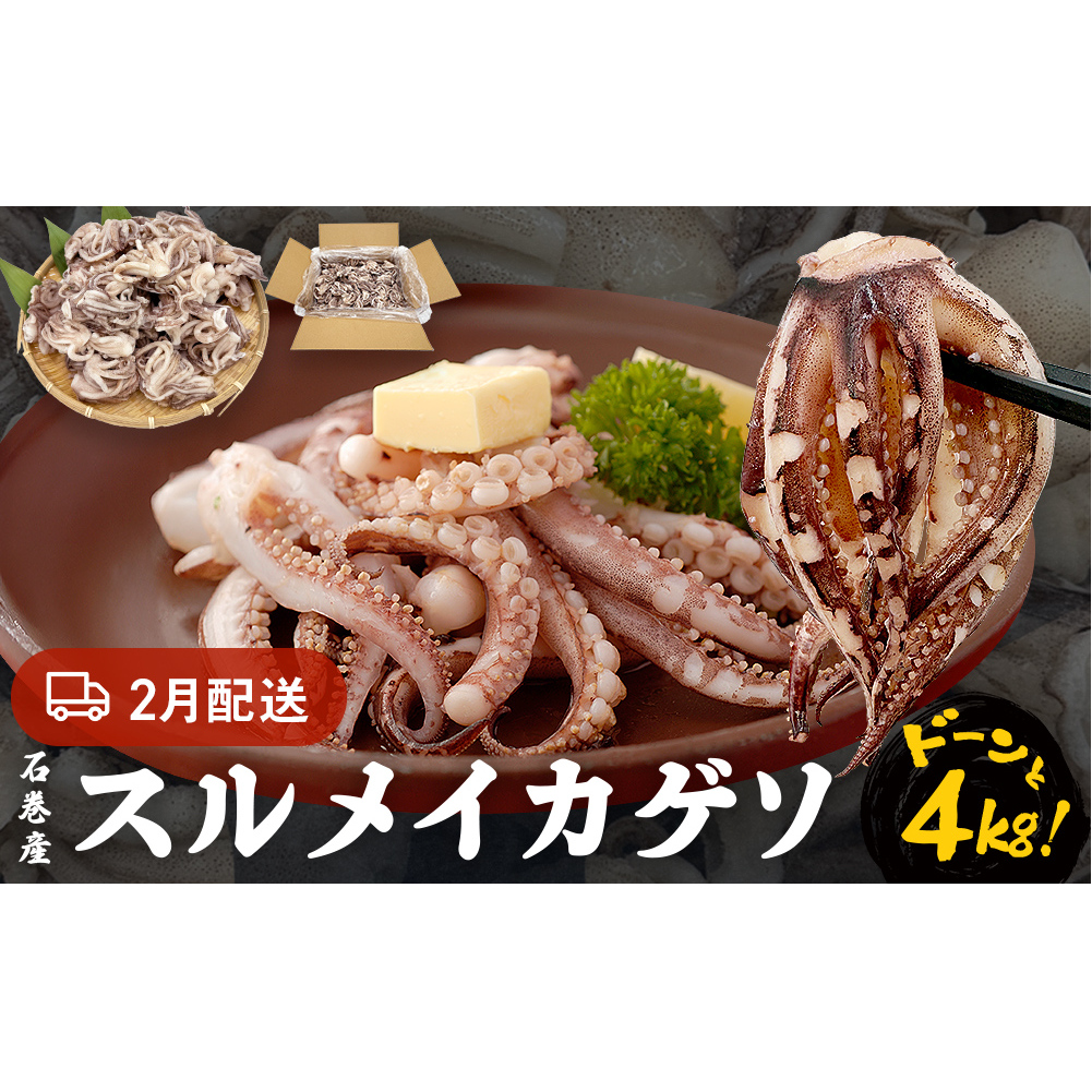 訳あり 石巻産スルメイカゲソ 4kg 2月配送 冷凍 国産 いか 下足 おつまみ ゲソ天 焼イカ おかず宮城県石巻市17000魚介・海産物イカ・タコ・ウニ