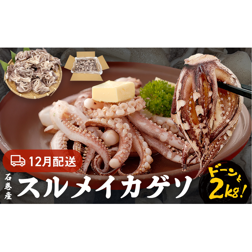 訳あり 石巻産スルメイカゲソ 2kg 12月配送 冷凍 国産 いか 下足 おつまみ ゲソ天 焼イカ おかず宮城県石巻市11000魚介・海産物イカ・タコ・ウニ