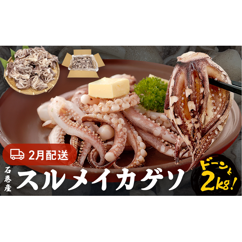 訳あり 石巻産スルメイカゲソ 2kg 2月配送 冷凍 国産 いか 下足 おつまみ ゲソ天 焼イカ おかず宮城県石巻市11000魚介・海産物イカ・タコ・ウニ