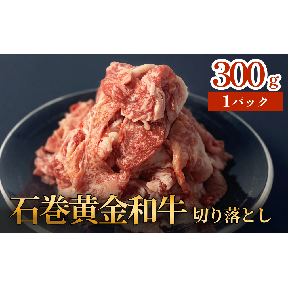  Ί  a ؂藎Ƃ 300g×1P Ԑg Y  g₷  @  א؂  Ă ē Ⓚ{錧Ίs9000