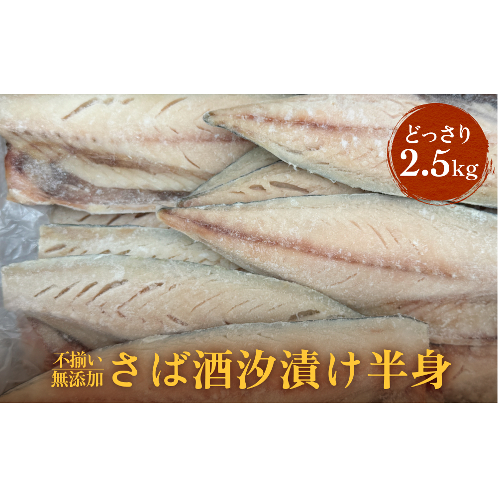 不揃い 訳あり 無添加さば酒汐漬け半身( どっさり 2.5kg ) サバ 鯖 冷凍 おかず 簡単調理 保存料着色料不使用宮城県石巻市14000魚介・海産物その他 魚介・海産物