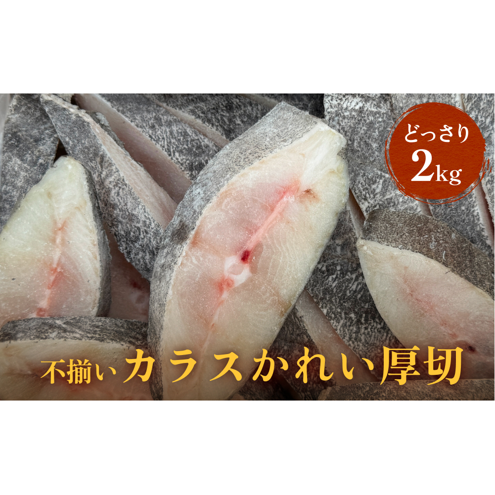 不揃い 訳あり カラスかれい厚切( どっさり 2kg )カレイ 冷凍 おかず 切身 煮魚 焼き魚宮城県石巻市14000魚介・海産物その他 魚介・海産物