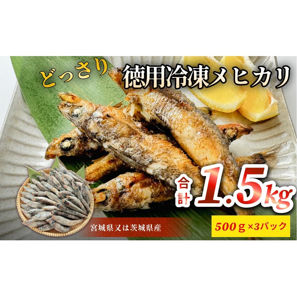 徳用冷凍メヒカリ(どっさり1.5kg)目光 魚 冷凍 唐揚げ 塩焼き 天ぷら お魚 おかず おつまみ宮城県石巻市14000魚介・海産物その他 魚介・海産物