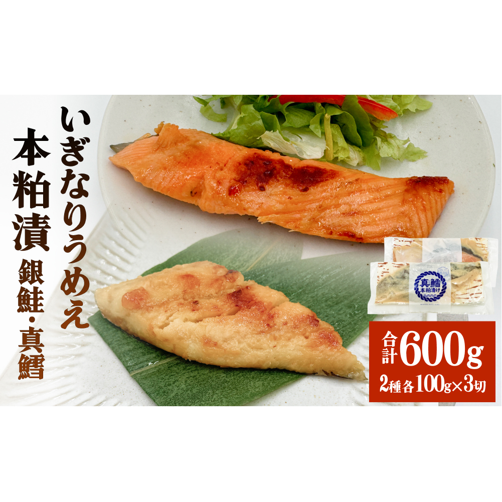 いぎなりうめえ本粕漬G3T3 冷凍 粕漬け 酒粕 銀鮭 サーモン さけ 真たら 焼き魚 魚 お魚 海鮮 魚介 おかず 簡単調理宮城県石巻市11000魚介・海産物その他 魚介・海産物