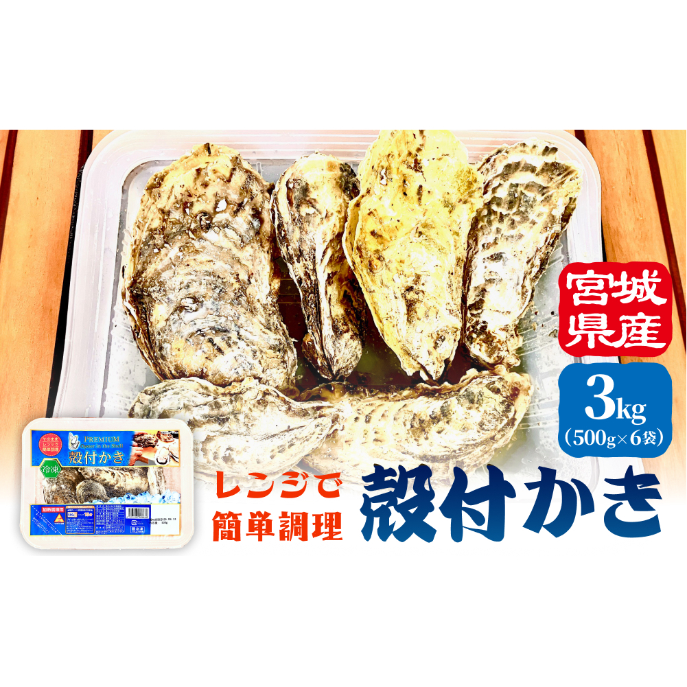 WŊȒP ktW6P  ȒP BBQ y JL y O CN  CN{錧Ίs11000ECYL