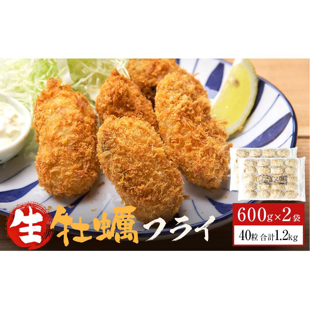 三陸産カキフライ600g(20粒入)×2パックセット 冷凍 牡蠣 かき 大粒 海鮮 貝 揚げ物 オイスター おかず おつまみ 美味しい サクサク宮城県石巻市14000魚介・海産物貝類