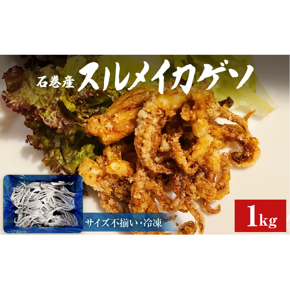 石巻市産スルメイカゲソ1kg 冷凍 国産 スルメイカ いか 下足 イカ イカゲソ カルパッチョ宮城県石巻市12000魚介・海産物イカ・タコ・ウニ