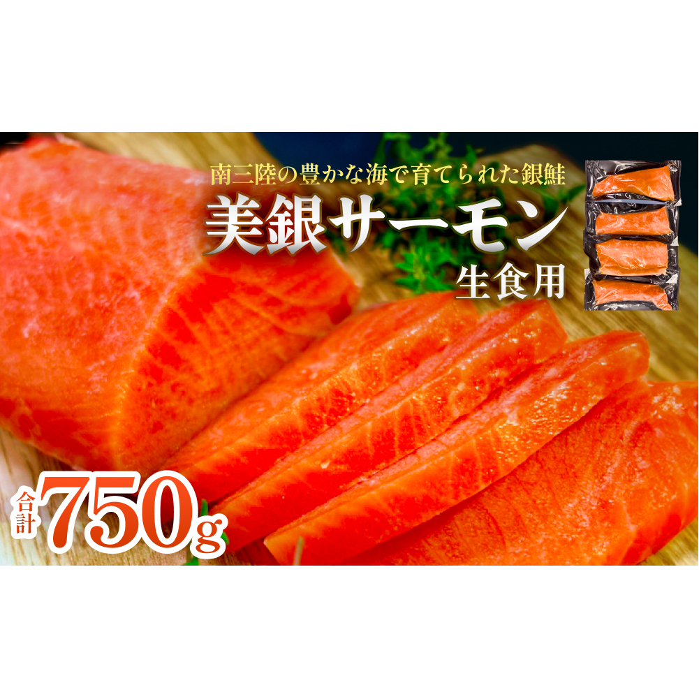 美銀サーモン(生食用)750g 冷凍 切り身 鮭 さけ サケ シャケ 銀鮭 お刺身 カルパッチョ おつまみ宮城県石巻市12000魚介・海産物その他 魚介・海産物