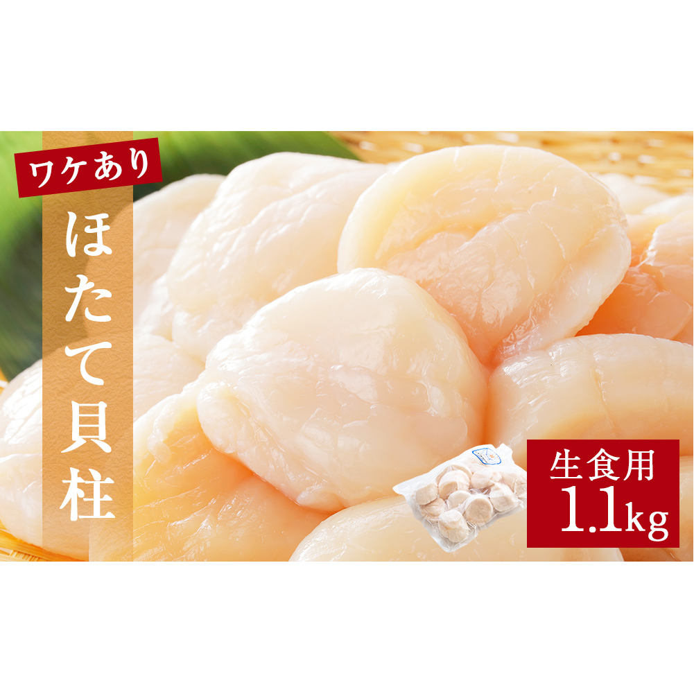 【 ワケあり 】生食用 ほたて 貝柱 1.1kg 帆立 ホタテ 訳あり 不揃い 冷凍 生食 魚介 魚介類 貝宮城県石巻市16000魚介・海産物貝類