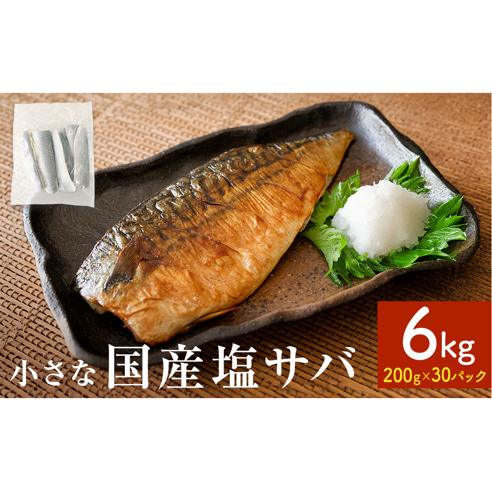  Y To 6kg  ( 200g × 30pbN ) Ⓚ To I    ؂g ƒp Ă ċ  ٓ Ă ȒP To tB ItB TotB[ ؐg {錧 Ί