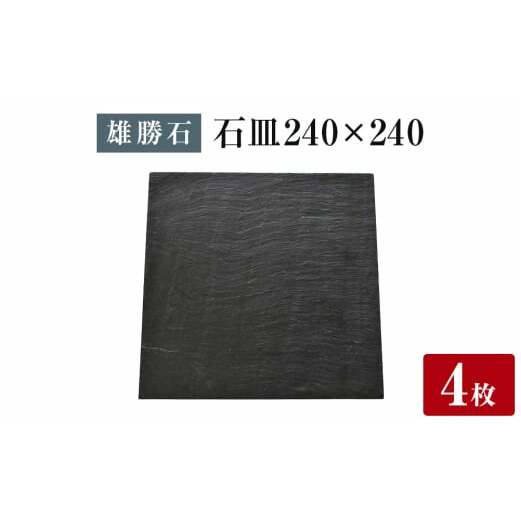yY΁z ΎM 240p Sg VR  ɒB  j _ Ί { M pM{錧Ίs162000G݁EpiHEOX