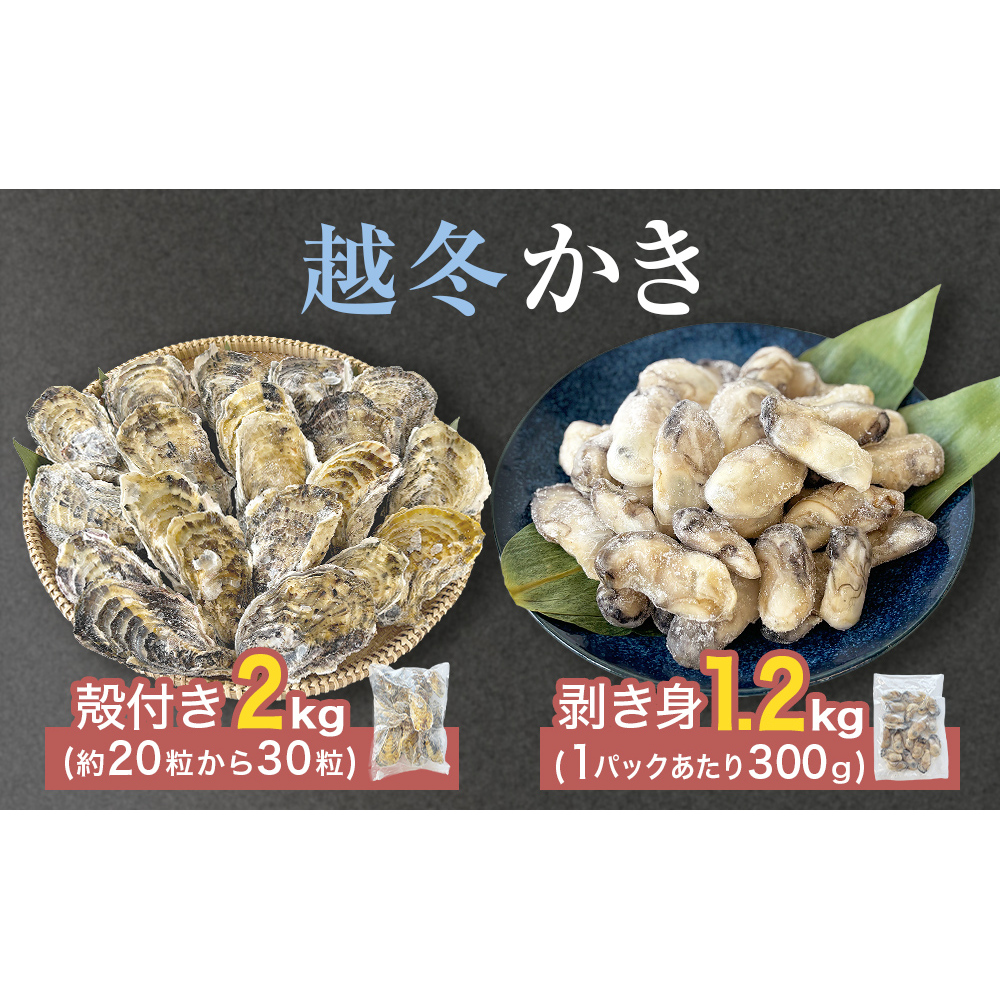 z~g z~kt Zbg Mp y  JL g ނg kt k L CN   {錧Y VN }Ⓚ Z {錧 Ίs{錧Ίs16000ECYL