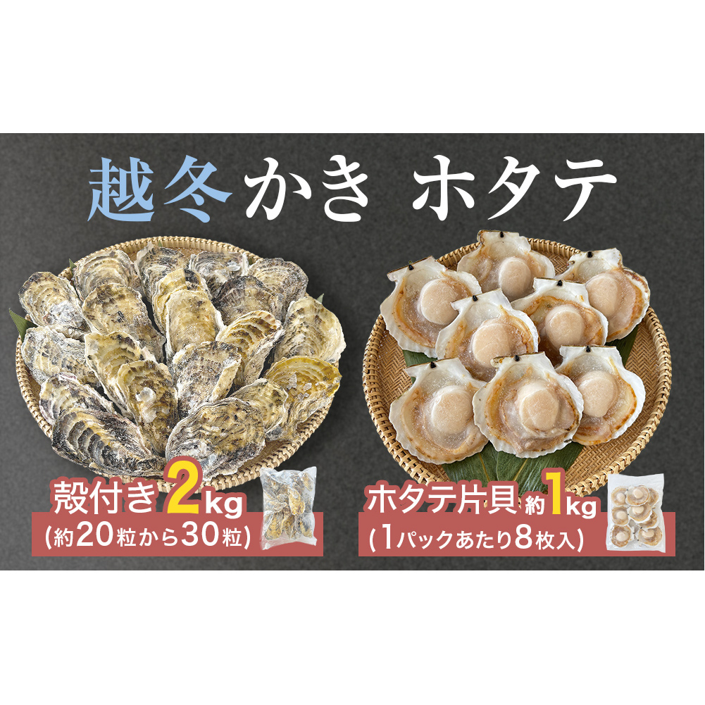 z^eЊL z~kt ґZbg Mp y  JL  z^e ق ЊL kt k L L CN   {錧Y VN }Ⓚ Z {錧 Ίs{錧Ίs16000