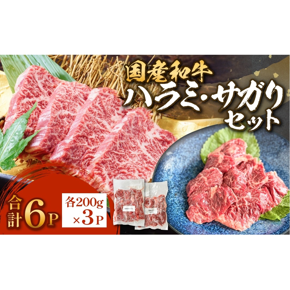 国産和牛 ハラミ サガリ セット 6P 国産 和牛 牛肉 肉 お肉 はらみ さがり 宮城県産 焼肉 バーベキュー 宮城県 石巻市宮城県石巻市20000肉牛肉