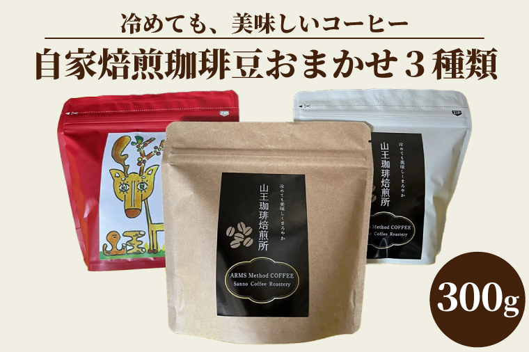 蓤܂3ށi100g×3܁j300giBA001j錧s14500ER[q[Eg