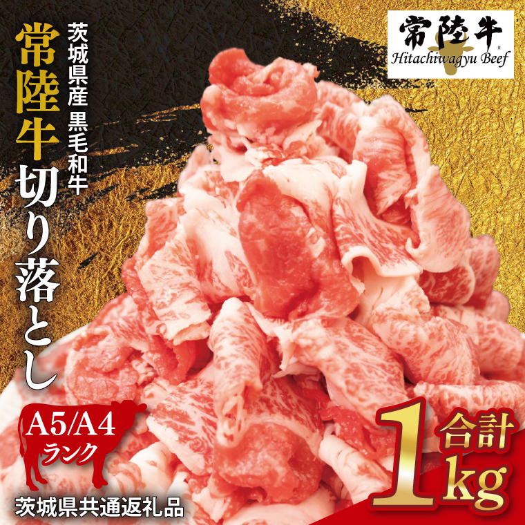 헤 ؂藎Ƃ 1kgy錧ʕԗiz    o 1kg 헤 ؂藎Ƃ јa A4 A5 Ⓚ  Ⴊ J[ ϕ 錧 siBI001-1j錧s23500