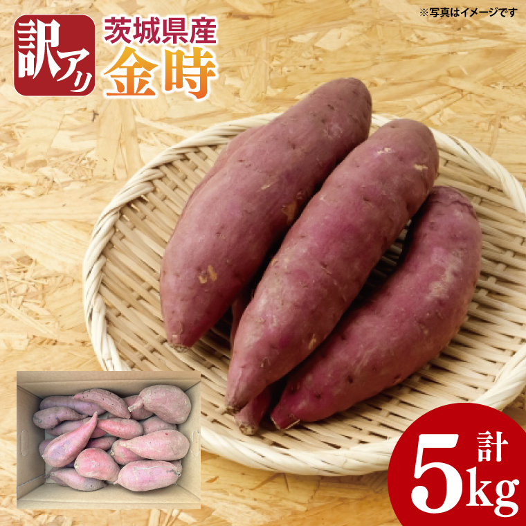 y2025N11菇zyʌzA 錧Y 5kgb܂  Tc}C  󂠂 킯 s\ 錧 siAS010-1j錧s6000؁ÊႪ