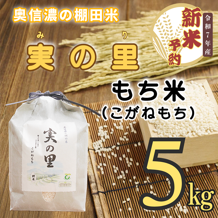 プレミアムゴールドライスGPR『天栄米』10kg令和6年度新米 プレミアムゴールドライスGPR『天栄米』10kg令和6年度新米 - 米