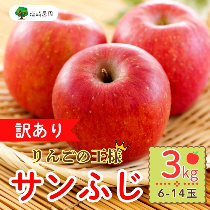 【先行予約】【訳あり】サンふじ 【約3kg(6-14玉)】(2025年産) (7-A39-1)長野県飯山市8000果物・フルーツ