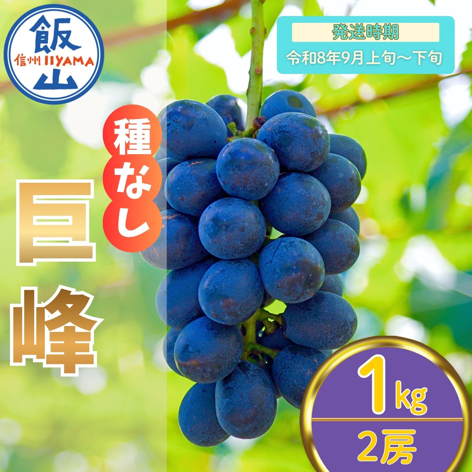 朝市場直行】長野県ほか ぶどう 巨峰（きょほう）PC 約300g〜400g x4個