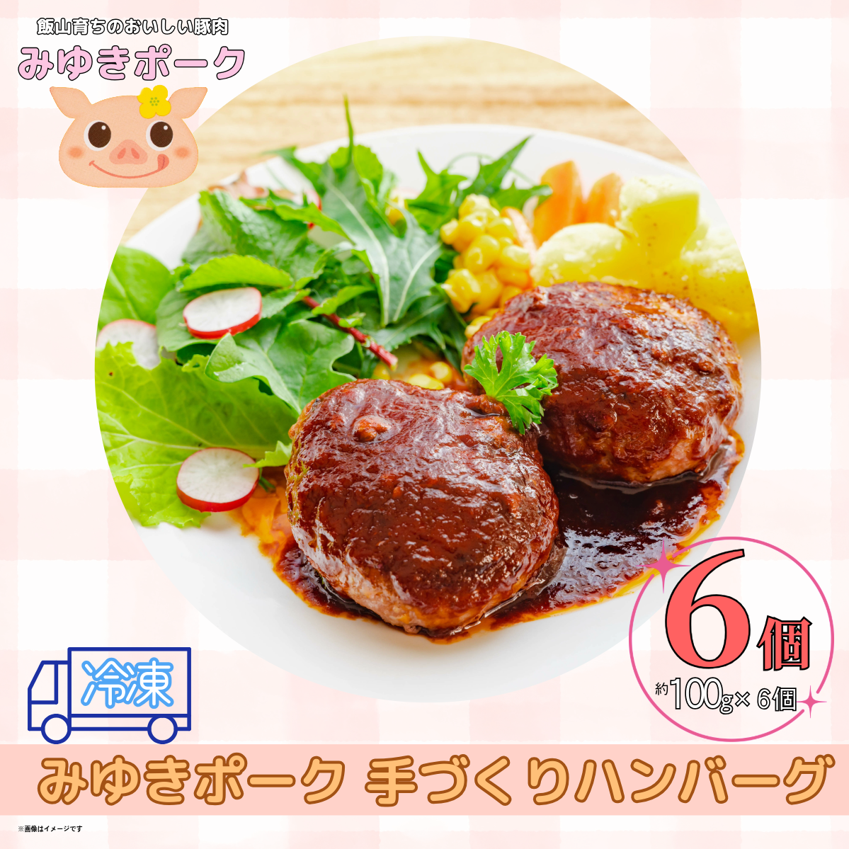 みゆきポーク手作りハンバーグ(6個入り)(Bo-005)長野県飯山市7000肉