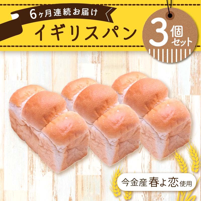 【6ヶ月連続お届け】今金産春よ恋使用!イギリスパン3個セット F21W-473北海道今金町26000米・パンパン