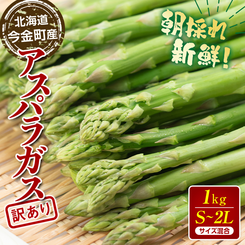 ys\zy󂠂ẑVNAXp 1kgiS`2LTCYj (2026N3{~6{܂2026N7{~9{)  kCY o[xL[ BBQ Lv { P 킯