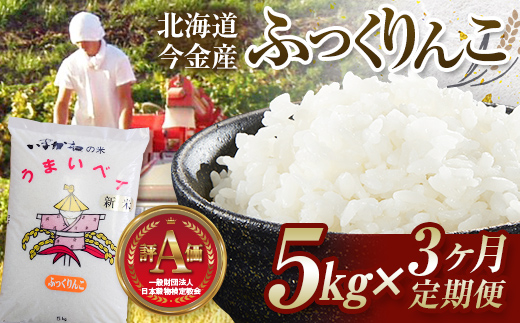 y3A͂zߘa6NY Y ӂ 5kg  kC Y   ĕU F21W-434kC36000āEp