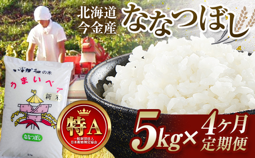 【4ヶ月連続お届け】令和6年産 今金産 ななつぼし 5kg お米 北海道 今金町産 米 白米 米俵 F21W-435北海道今金町48000米・パン白米