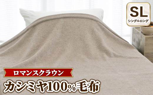w}XNEx JV~100%ѕz x[W VOOi140×210cmj@30207220{Îs900000G݁EpiQE^I