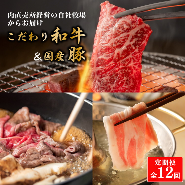 【定期便 全12回】お肉の直売所謹製 こだわり和牛&国産豚の美味しいお肉の定期便コース大阪府泉大津市180000肉