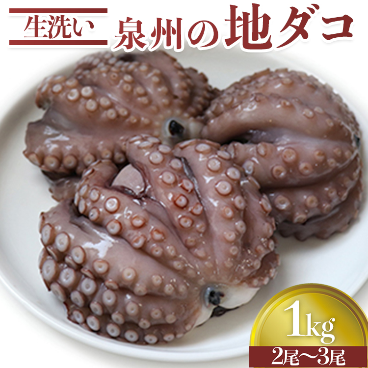 􂢐B̒n^R1kg(2`3) [0531]{Îs15000ECYCJE^REEj