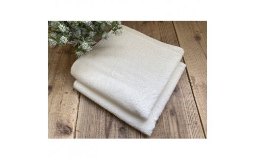 I[KjbNRbg oX^I 2g It 60×120cmʏTCY [0561]{Îs10000G݁EpiQE^I