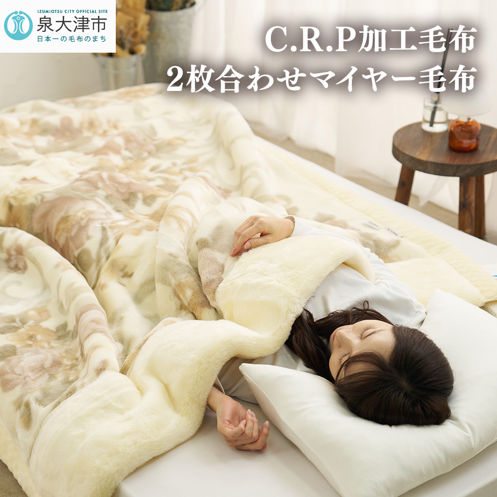 C.R.PHѕz 2킹}C[ѕz VOTCY x[W 1 21508 [0617]{Îs60000G݁EpiQE^I