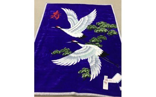 AN }C[ѕz2.6kg VO  1 (킹ѕz)MA20|702 [1016]{Îs35000G݁EpiQE^I