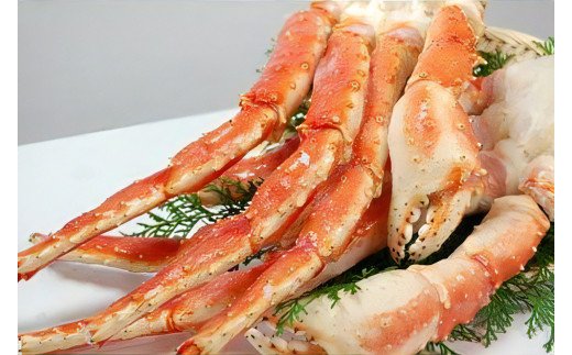 |y {C^oI 5L 1kg [1613]{Îs50000ECYJj