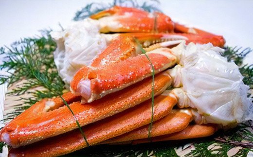 {CYCI 2 800g [2921]{Îs16000ECYJj