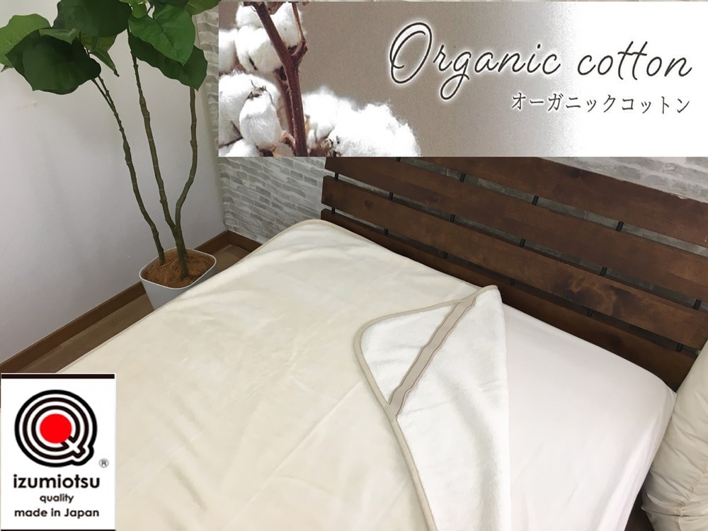 I[KjbNRbg ȃtBbg ~ѕz VOTCY AC{[ 1 OGMS-2S VRf   K n  􂦂 \ ې􂢉\[3216]{Îs27000G݁EpiQE^