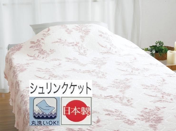 ېOKySTYLEz キPbg VO 1 54356105 PI [3367]{Îs50000G݁EpiQE^I