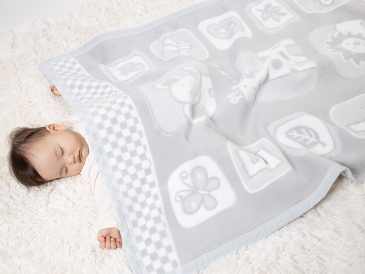  xr[Ȗѕz (щH) L O[ 85×115cm ѕz̒ (ÎsY) [3388]{Îs11000G݁EpiQE^I