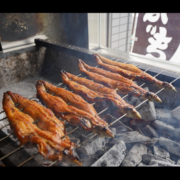 [①z] YĂYȂ1 (160g`170g) kCEEւ̔zs [3562]{Îs12000ECYȂ